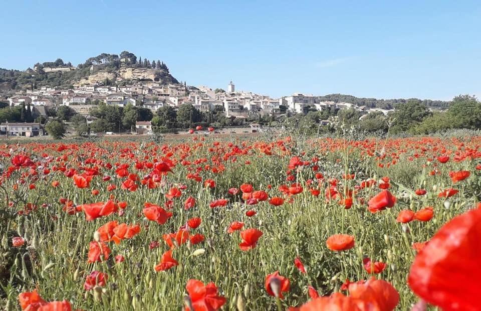 Apartment L'amanderaie Piscine Privee A Cote De Lourmarin Luberon Cadenet