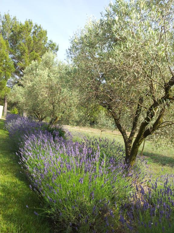 L'amanderaie Piscine Privee A Cote De Lourmarin Luberon Apartment Cadenet